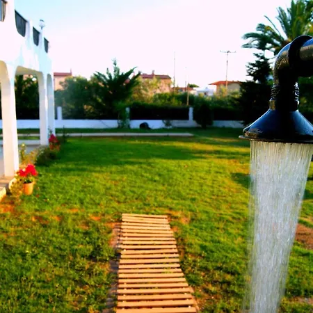 Simplicity At Iris *