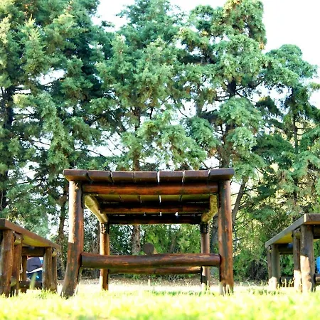 Simplicity At Iris Apartament