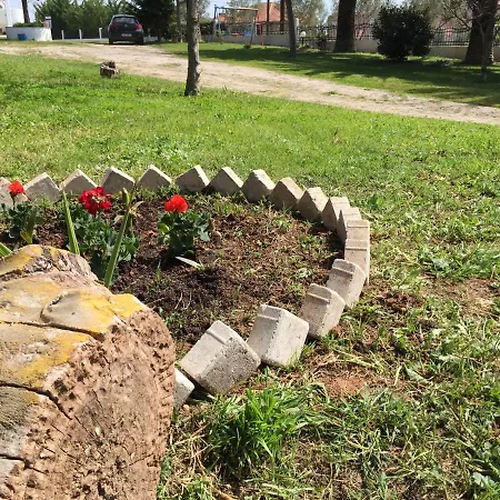 Simplicity At Iris Psakoudia