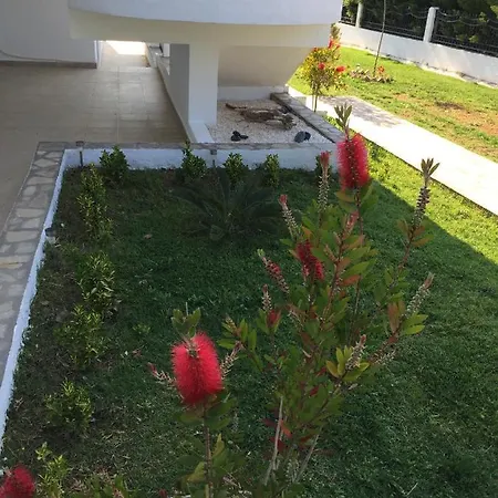 Simplicity At Iris Apartament