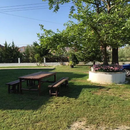 Simplicity At Iris *