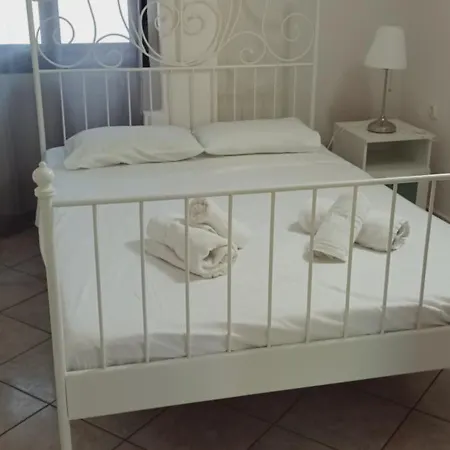 Simplicity At Iris *