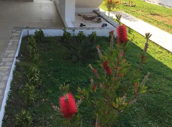 Simplicity At Iris Διαμέρισμα